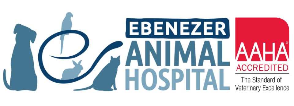 Ebenezer Animal Hospital