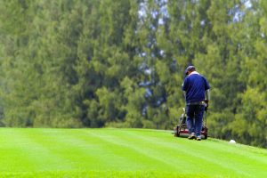 A view of golf course management in action a worker mows the greens for optimal health