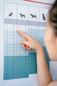 Vet consulting a chart to determine age of a dog