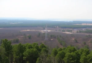 An area impacted by wildfire in York County, SC