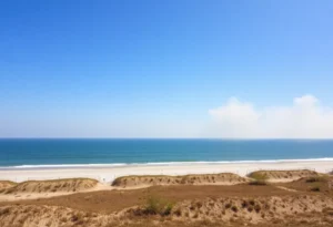 Myrtle Beach Wildfire Aftermath