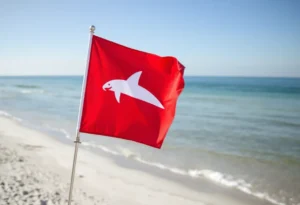 Hilton Head Beach Safety