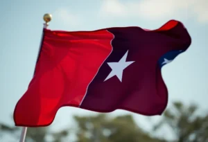 A Texas flag waving in the wind