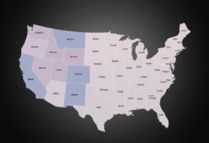 Illustration depicting diverse voting districts and representation