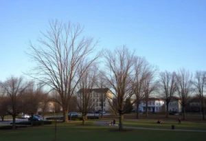 A park in Rock Hill, SC, on a clear winter day with people bundled up enjoying the chilly weather.