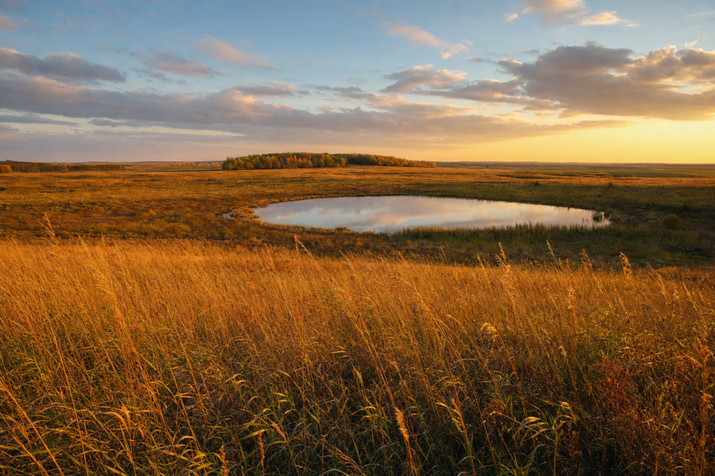 Minnesota’s pheasant index jumps 20%; west central up 74%