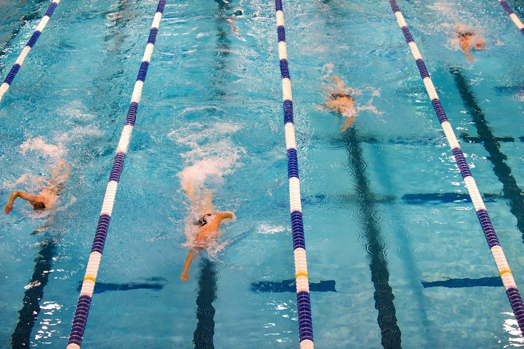 Rock Hill, S.C., Bearcats take seventh at 5A swim meet